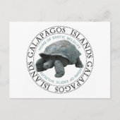 Galapagos Inseln Tortoise Postkarte (Vorderseite)