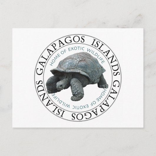 Galapagos Inseln Tortoise Postkarte (Vorderseite)