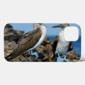 Galapagos Islands, Isabela Island Case-Mate iPhone Hülle (Rückseite (Horizontal))