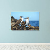 Galapagos Islands, Isabela Island Leinwanddruck (Insitu (Holzboden))