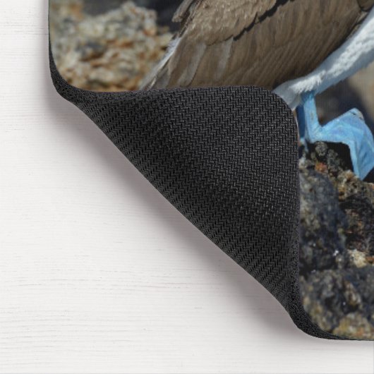 Galapagos Islands, Isabela Island Mousepad (Ecke)
