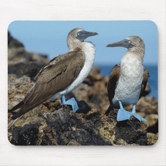 Galapagos Islands, Isabela Island Mousepad (Vorne)