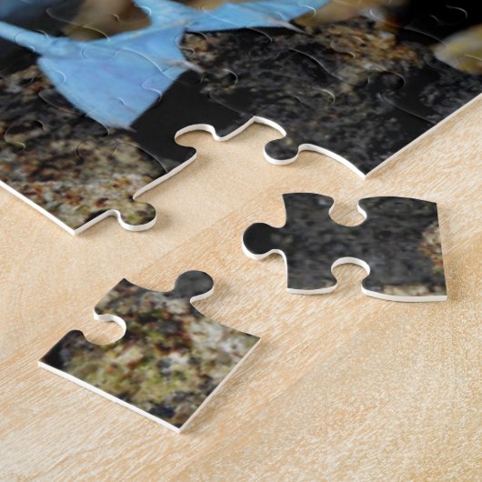 Galapagos Islands, Isabela Island Puzzle (Seite)