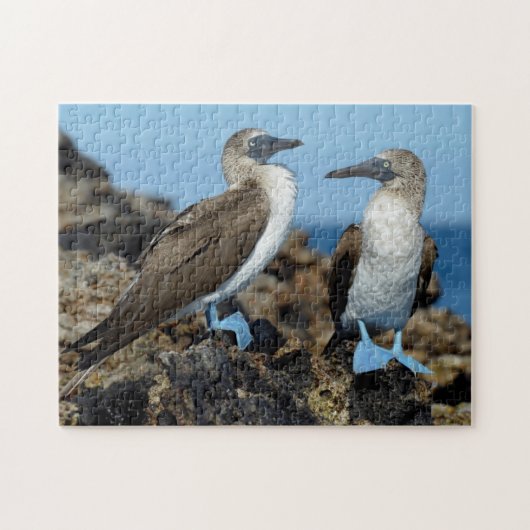 Galapagos Islands, Isabela Island Puzzle (Horizontal)
