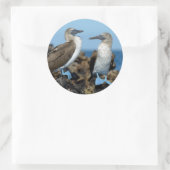 Galapagos Islands, Isabela Island Runder Aufkleber (Tasche)