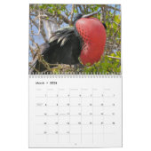 Galapagos! Kalender (Mär 2026)