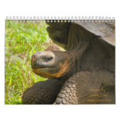 Galapagos! Kalender (Titelbild)
