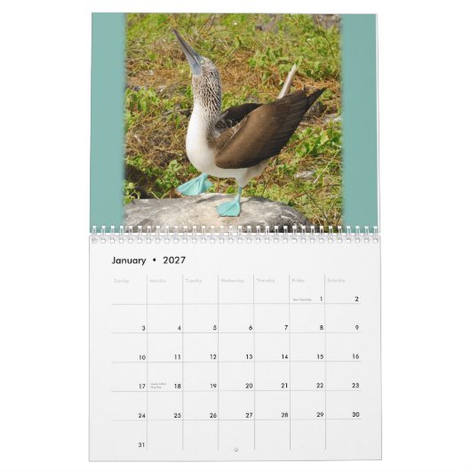 Galapagos! Kalender (Jan 2027)