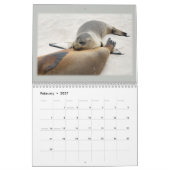 Galapagos! Kalender (Feb 2027)