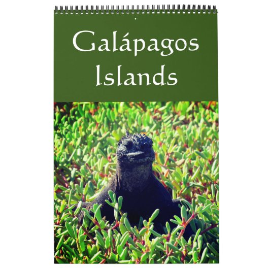 Galapagos Kalender (Titelbild)