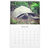 Galapagos Kalender (Mär 2026)