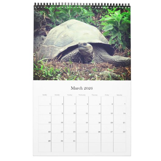 Galapagos Kalender (Mär 2026)