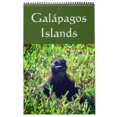 Galapagos Kalender (Titelbild)
