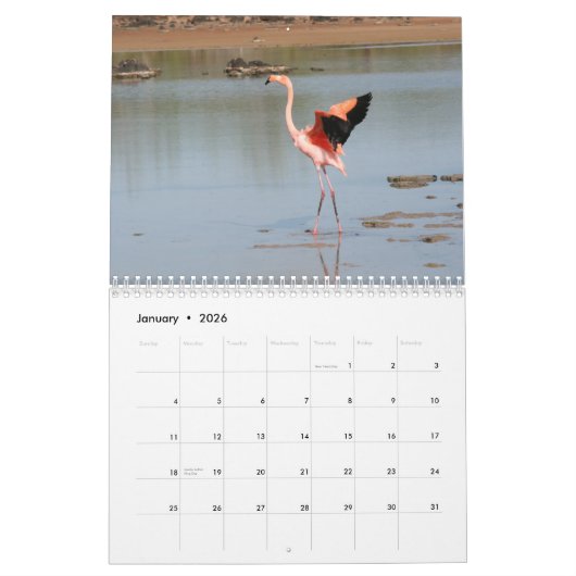 Galapagos-Kalender Kalender (Jan 2026)