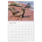 Galapagos-Kalender Kalender (Mär 2027)