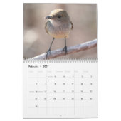 Galapagos-Kalender Kalender (Feb 2027)
