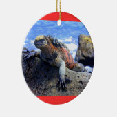 Galapagos Keramikornament (Rechts)