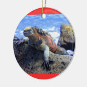 Galapagos Keramikornament (Links)