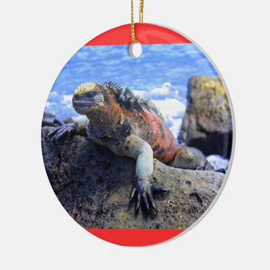 Galapagos Keramikornament (Links)