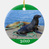 Galapagos Keramikornament (Hinten)