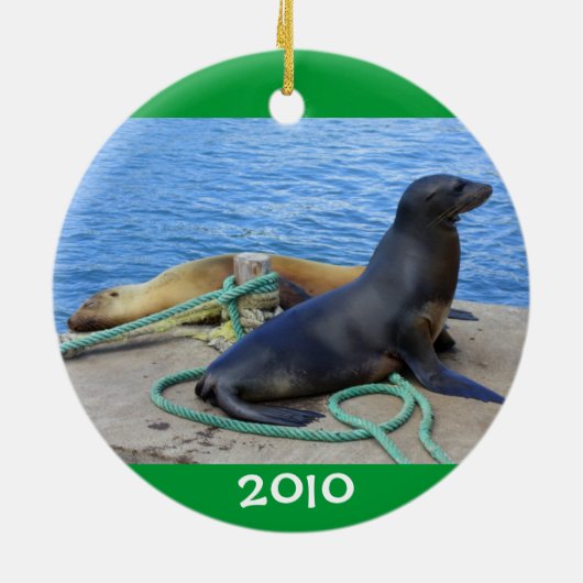 Galapagos Keramikornament (Hinten)
