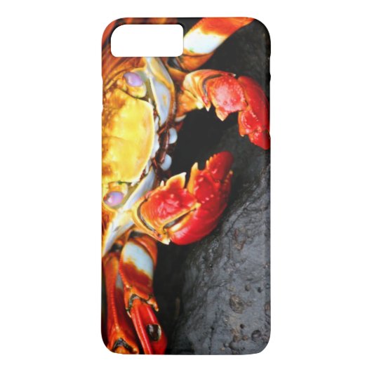 Galapagos-Krabbe Case-Mate iPhone Hülle (Rückseite)