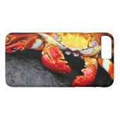 Galapagos-Krabbe Case-Mate iPhone Hülle (Rückseite (Horizontal))