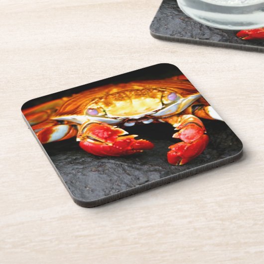 Galapagos-Krabbe Getränkeuntersetzer (Linke Seite)