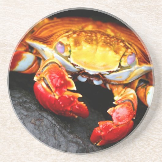 Galapagos-Krabbe Getränkeuntersetzer (Vorne)