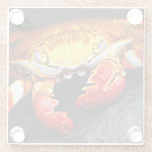 Galapagos-Krabbe Glasuntersetzer (Rückseite)