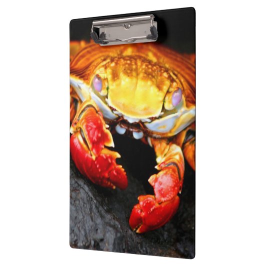 Galapagos-Krabbe Klemmbrett (Links)