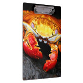 Galapagos-Krabbe Klemmbrett (Rechts)