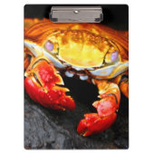 Galapagos-Krabbe Klemmbrett (Vorderseite)