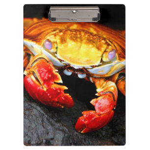 Galapagos-Krabbe Klemmbrett