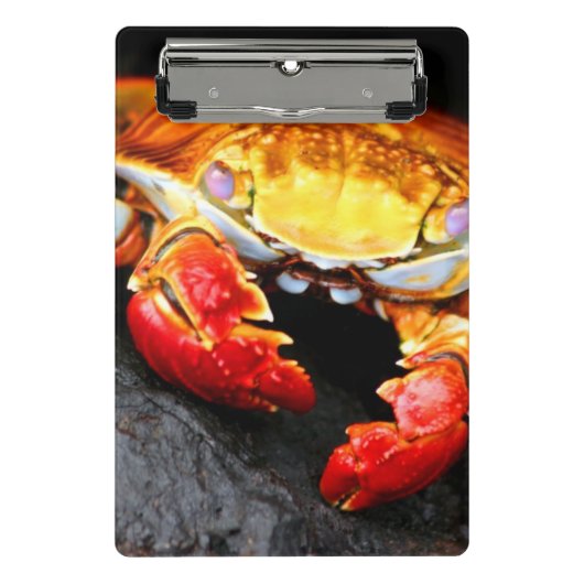 Galapagos-Krabbe Mini Klemmbrett (Vorderseite)