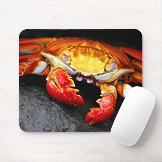 Galapagos-Krabbe Mousepad (Mit Mouse)
