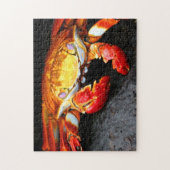Galapagos-Krabbe Puzzle (Vertikal)