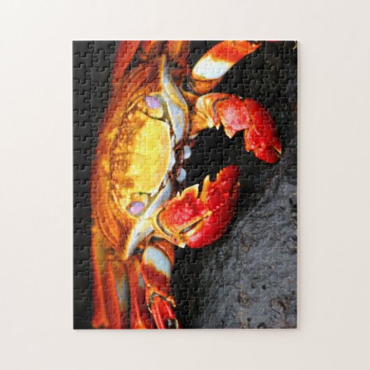 Galapagos-Krabbe Puzzle (Vertikal)