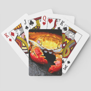 Galapagos-Krabbe Spielkarten