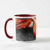 Galapagos-Krabbe Tasse (Links)