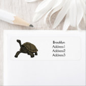 Galapagos-Landschildkröte (Insitu)