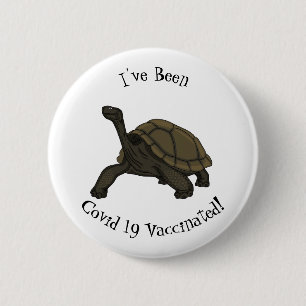 Galapagos-Landschildkröte Button
