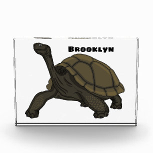 Galapagos-Landschildkröte Fotoblock