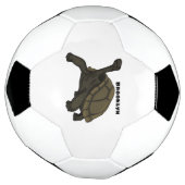 Galapagos-Landschildkröte Fußball (Gedreht)