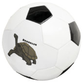 Galapagos-Landschildkröte Fußball (Dreiviertel)