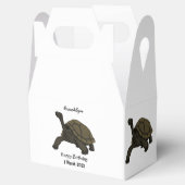 Galapagos-Landschildkröte Geschenkschachtel (Geöffnet)