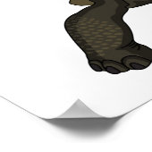 Galapagos-Landschildkröte Poster (Ecke)