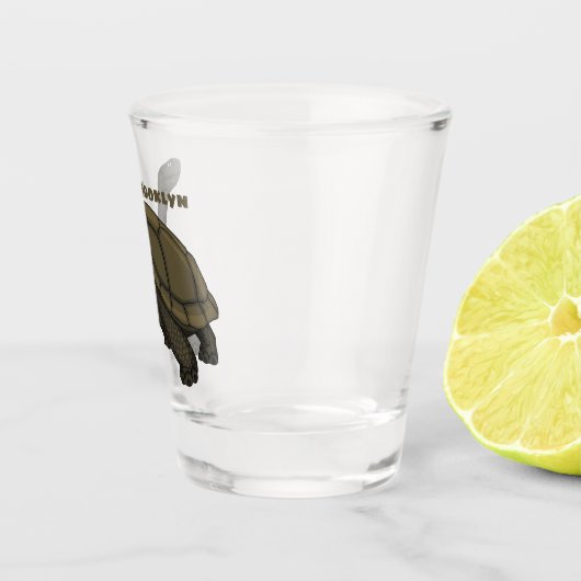 Galapagos-Landschildkröte Schnapsglas (Rechts)