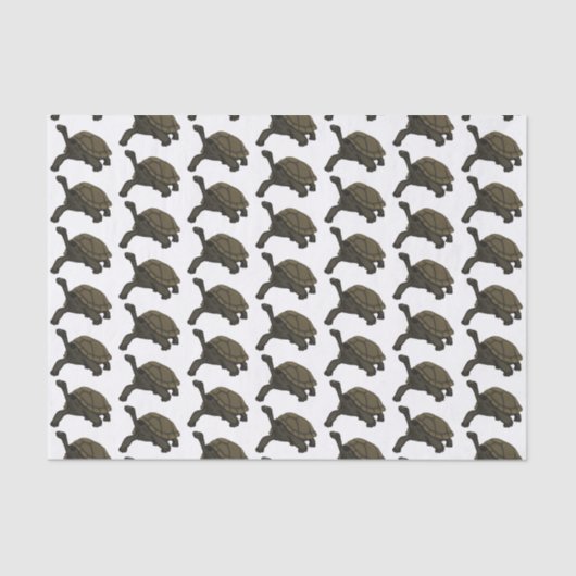 Galapagos-Landschildkröte Seidenpapier (Vorderseite)