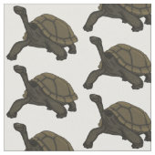 Galapagos-Landschildkröte Stoff (Nahaufnahme)